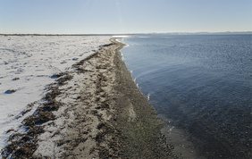 Kystlinien ved Korevlen, Ellinge Lyng